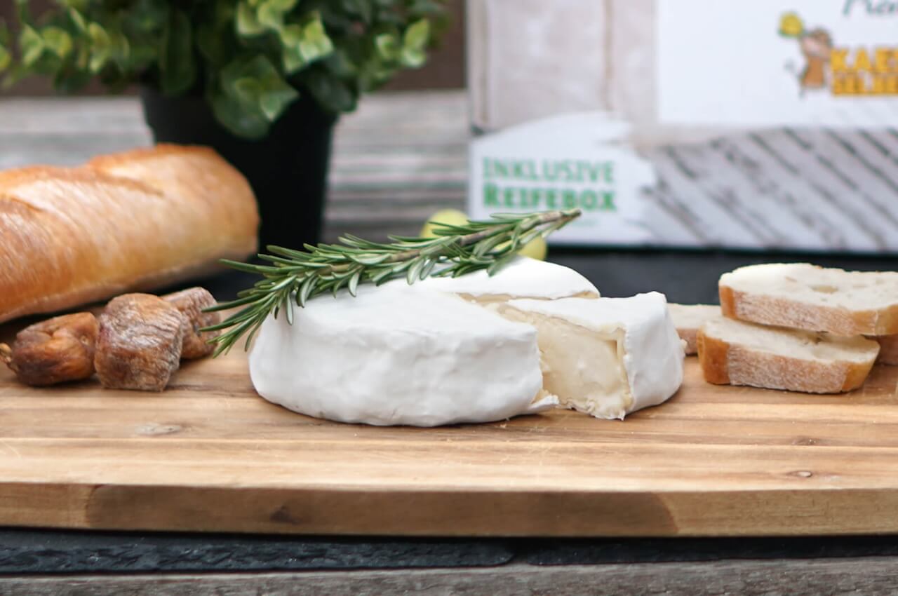 Camembert selber machen